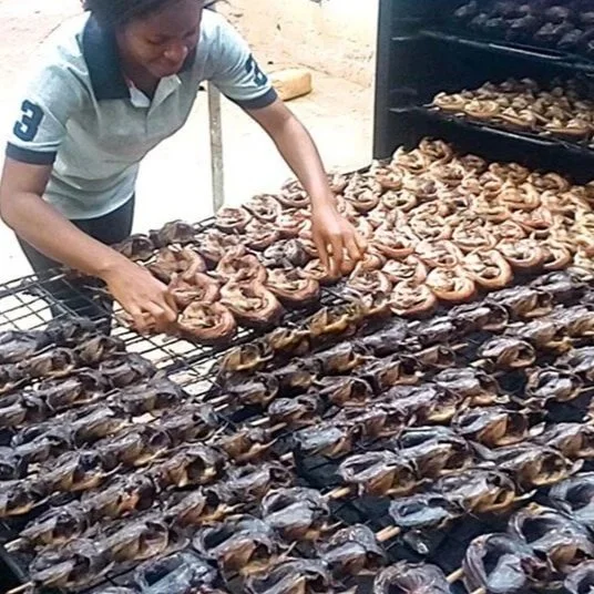 Nigeria-smoked-catfish-making-process-1.jpg
