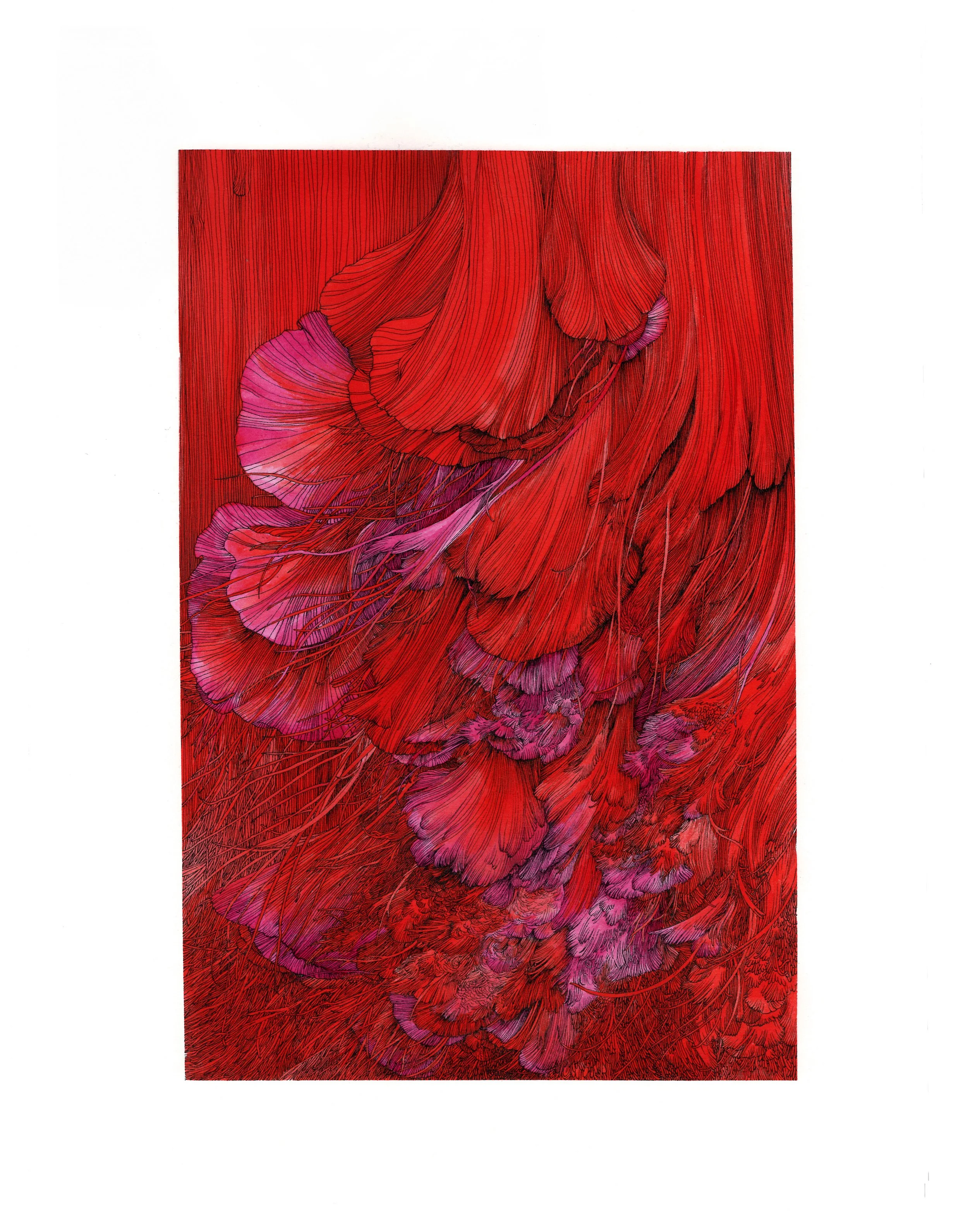 print-11x14-half-a-square-foot-of-hope.jpg