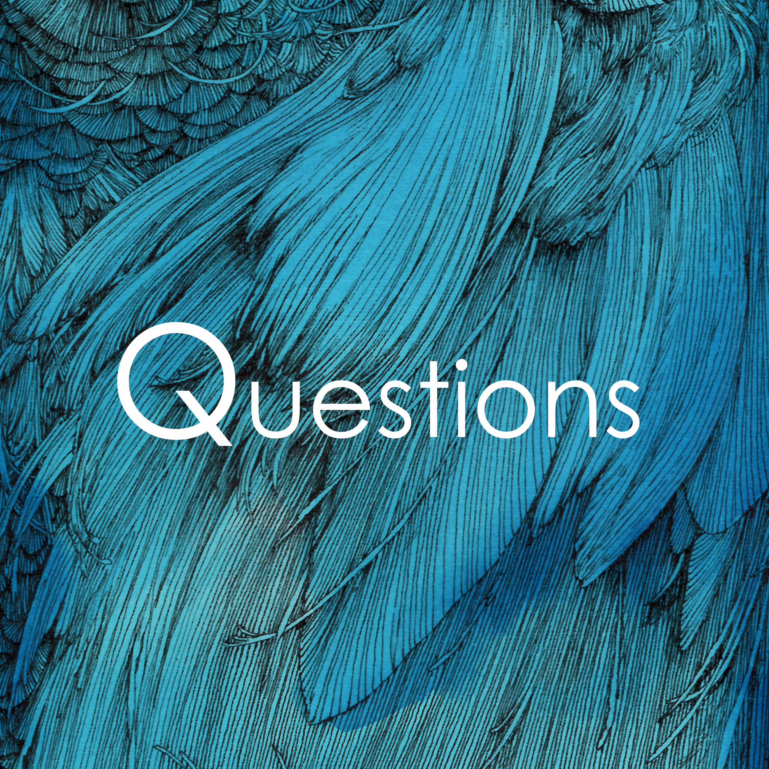 questions.png