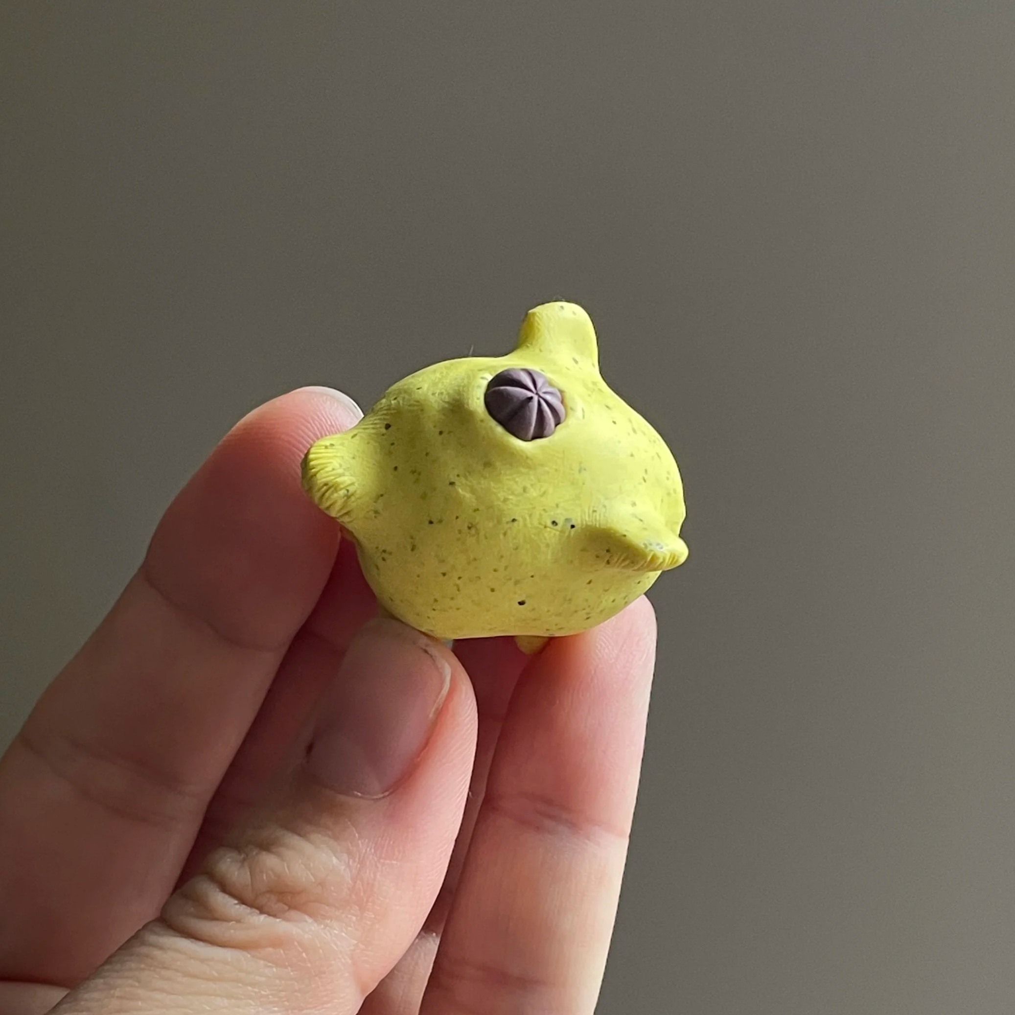 IMG_6274.png