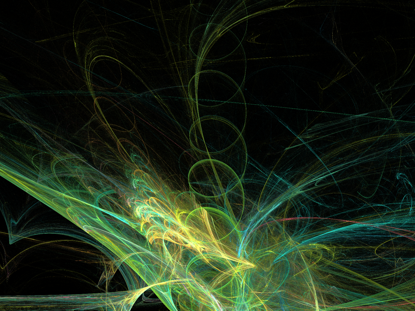 Feedback Loops