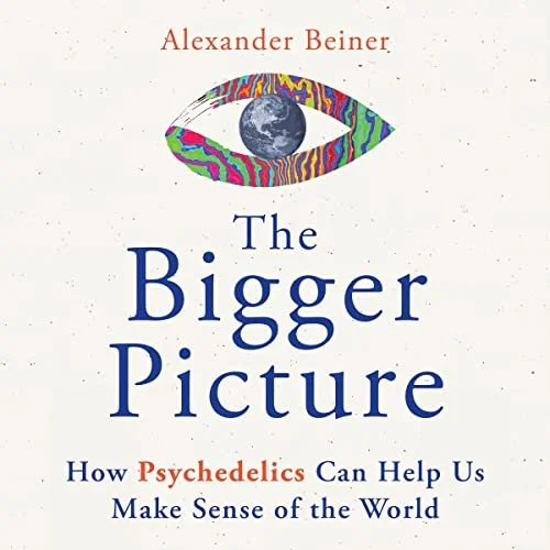 The Bigger Picture, Psychedelics & Making Sense