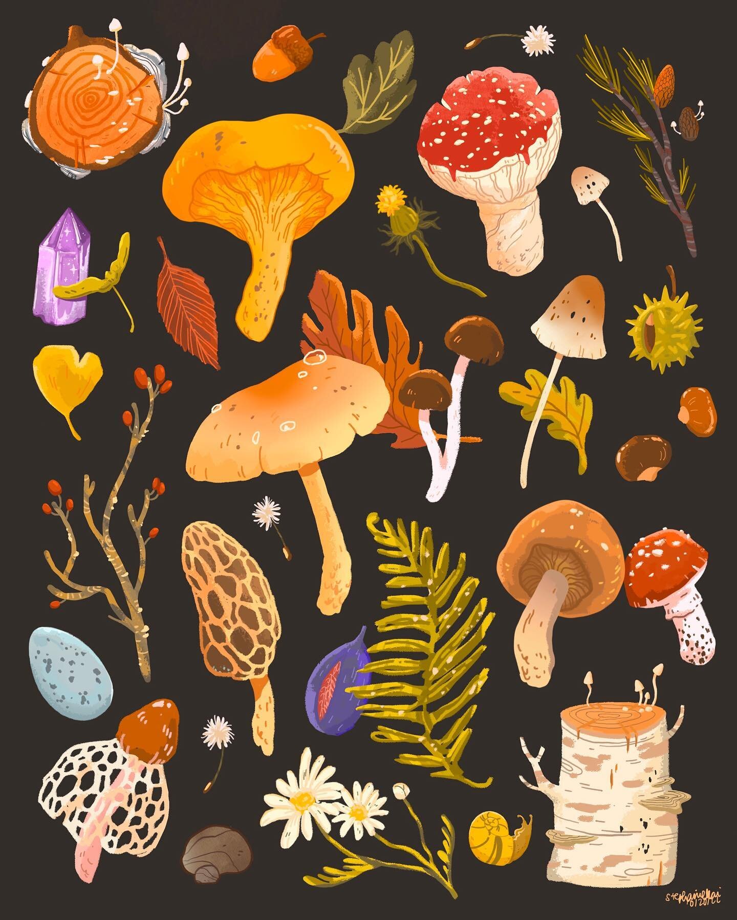 Forest Floor Treasures // I had a lot of fun drawing cute fall things and ended up sketching all these colors and textures 🍄 🍁 🍂 

#illustagram #editorialart #illustree #draweveryday #kidlitart #artdaily #mushroomforaging #illustrationartists