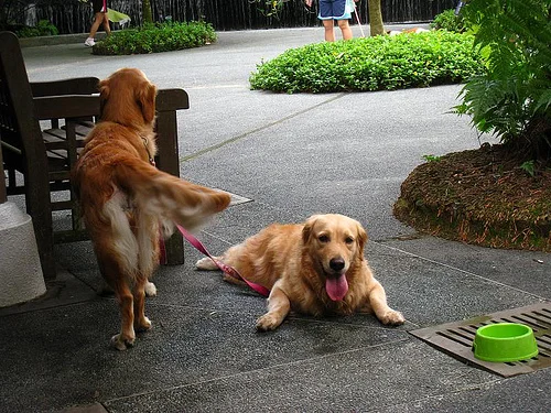 Breakfast @ Singapore Botanic Gardens