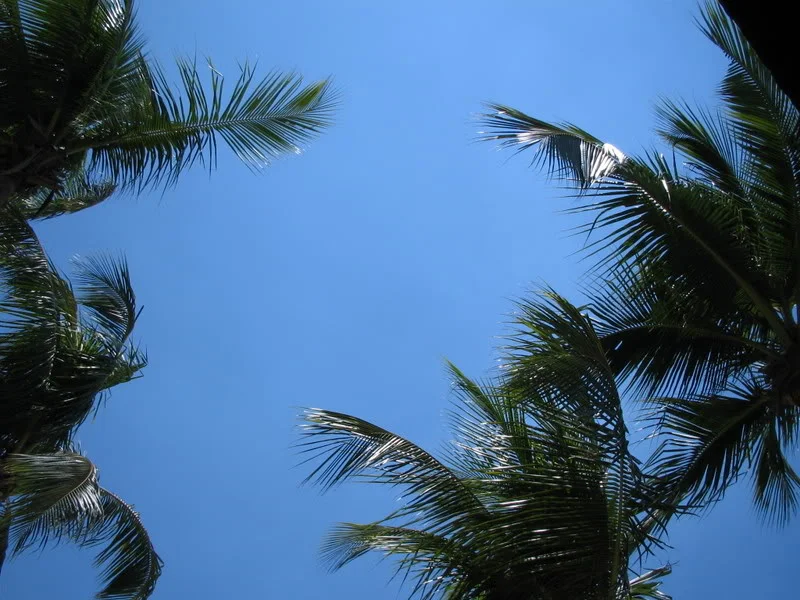 Coastes @ Sentosa, Singapore