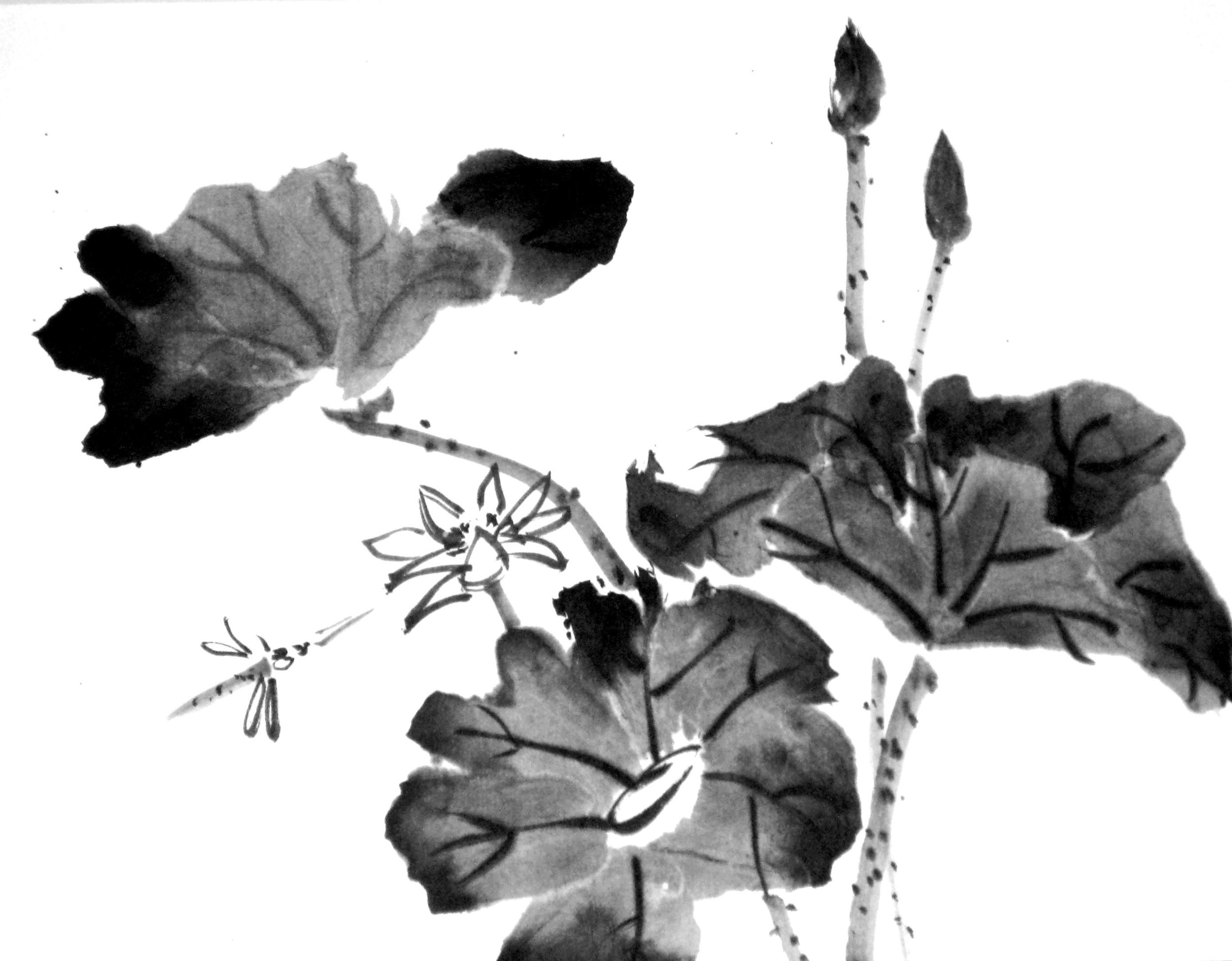 Image 1.jpg