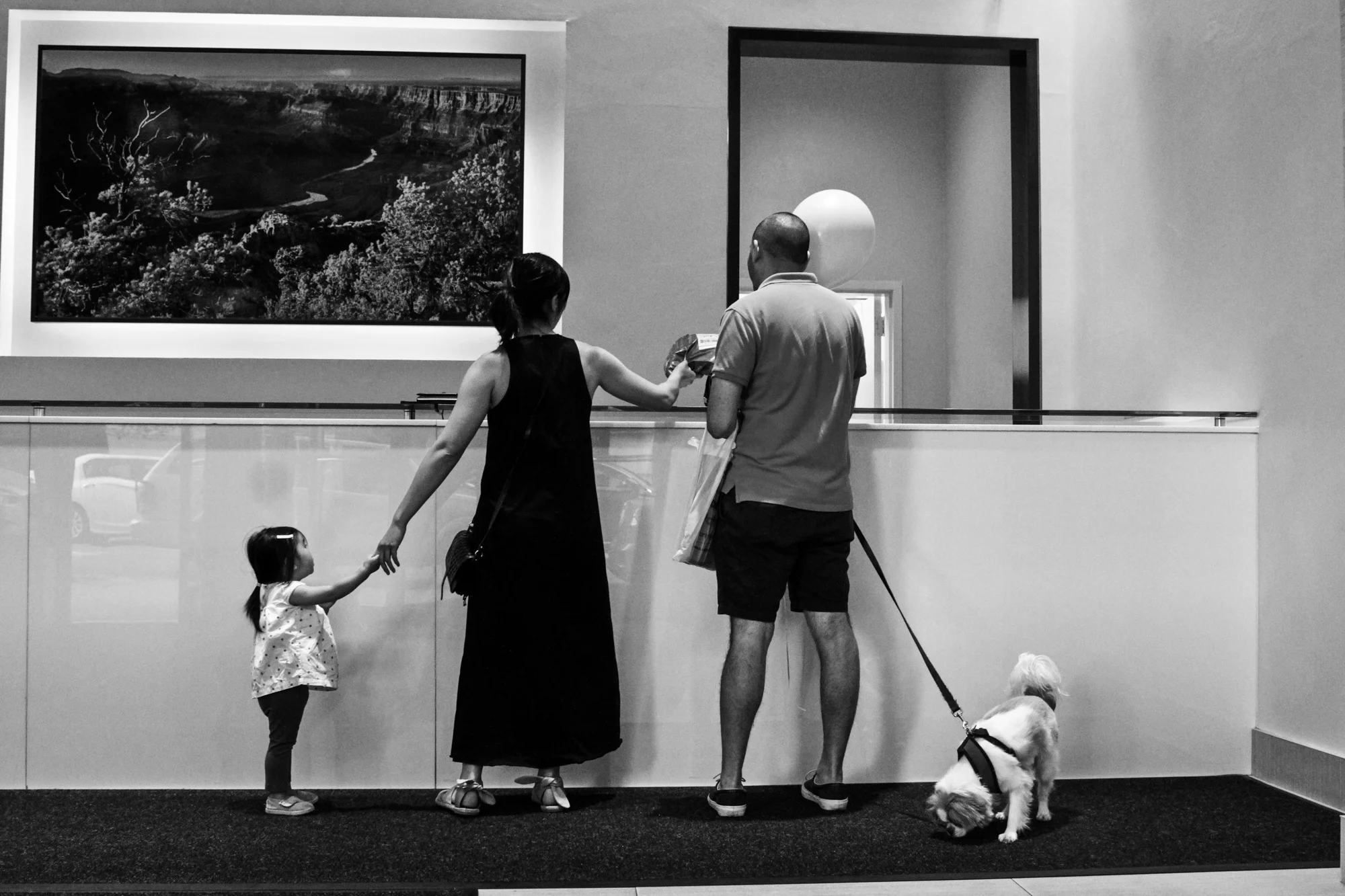 Girl, woman, man, and dog stand in a row while at a counter