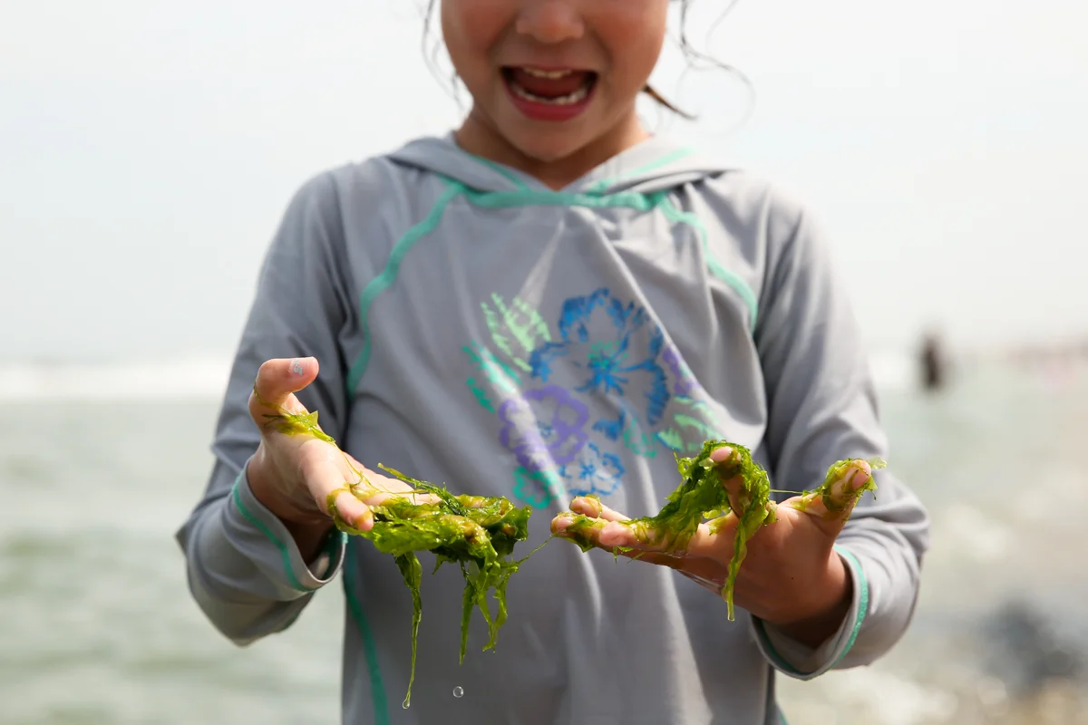 To pack or not to pack