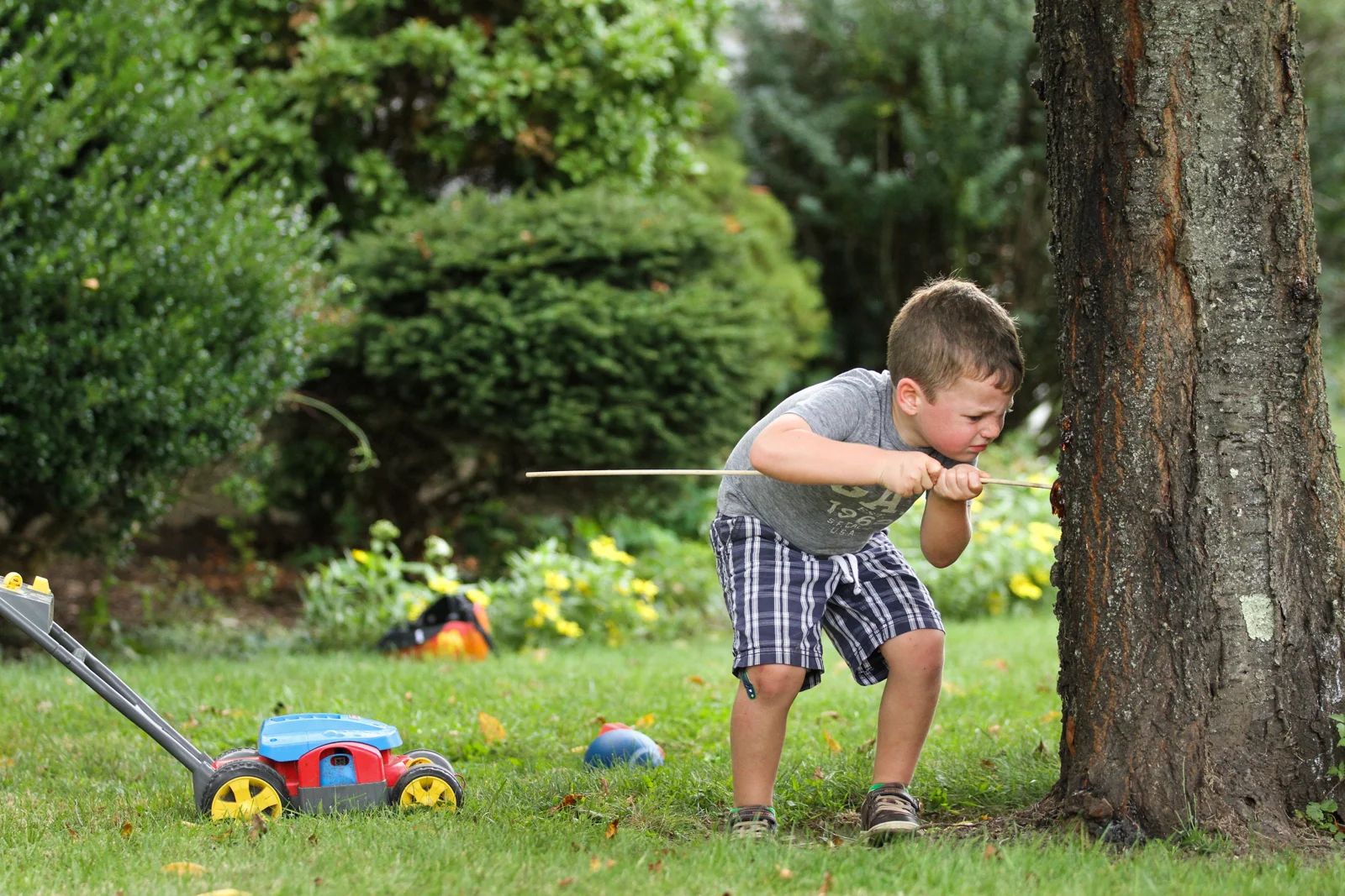 Boy pushes large stick into tree trunk