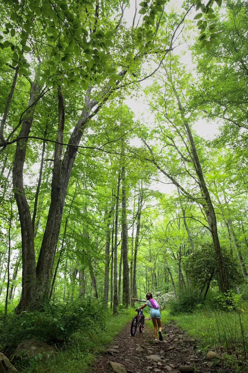 Girl walks her bike up a rocky path between tall wooded