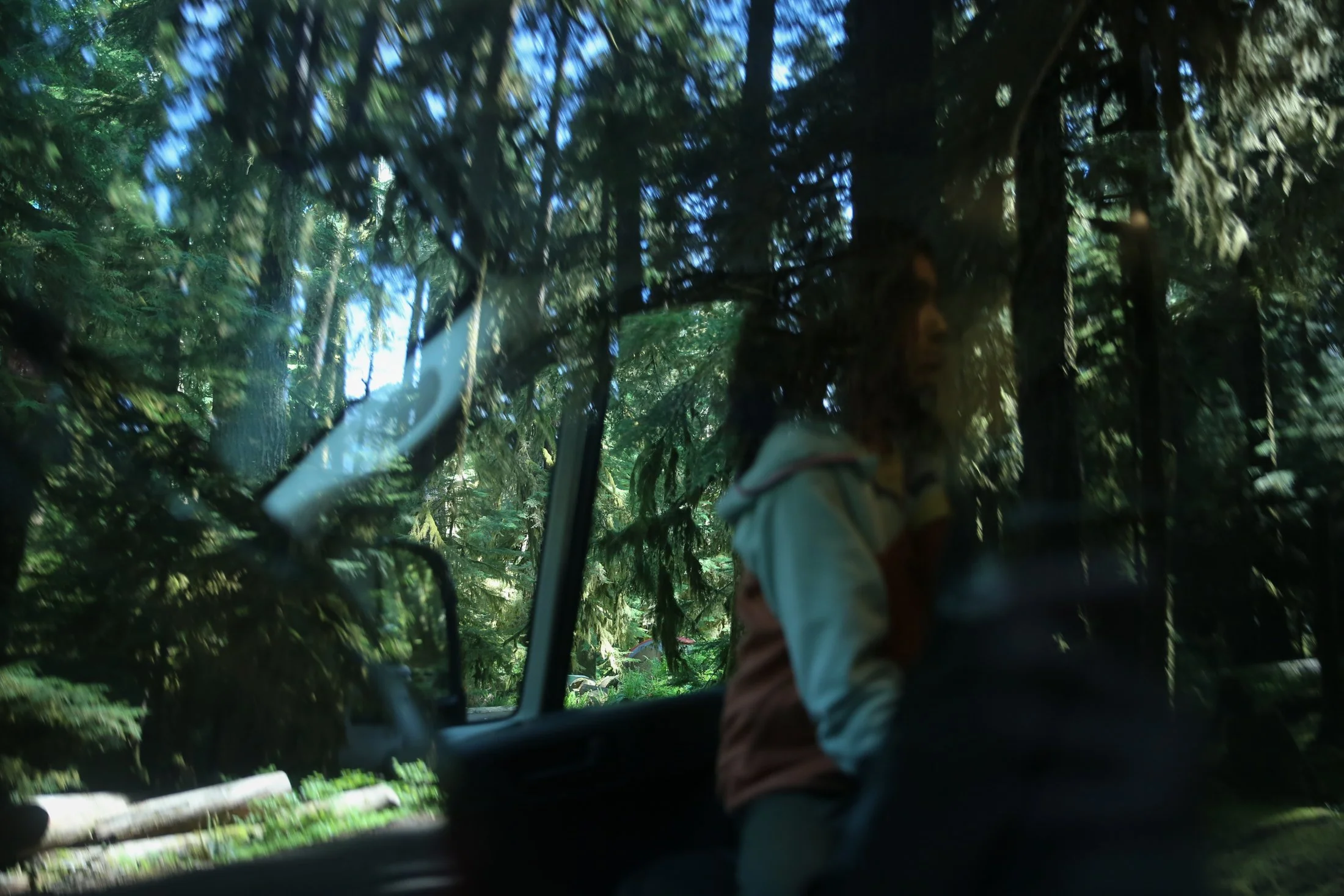 Silhouette of a child amongst a reflection of tall evergreen trees