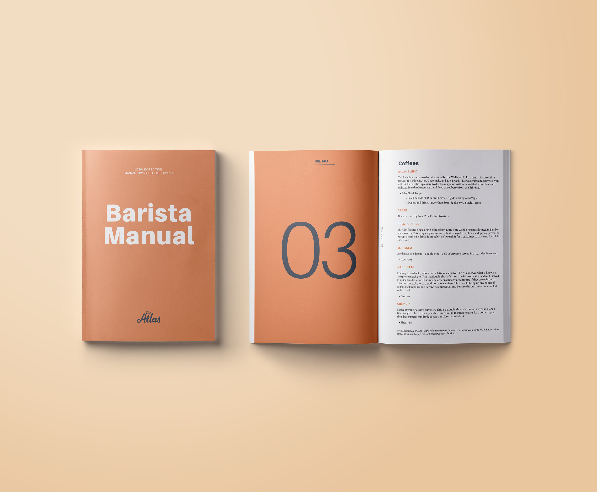 Handbook mockup2.jpg