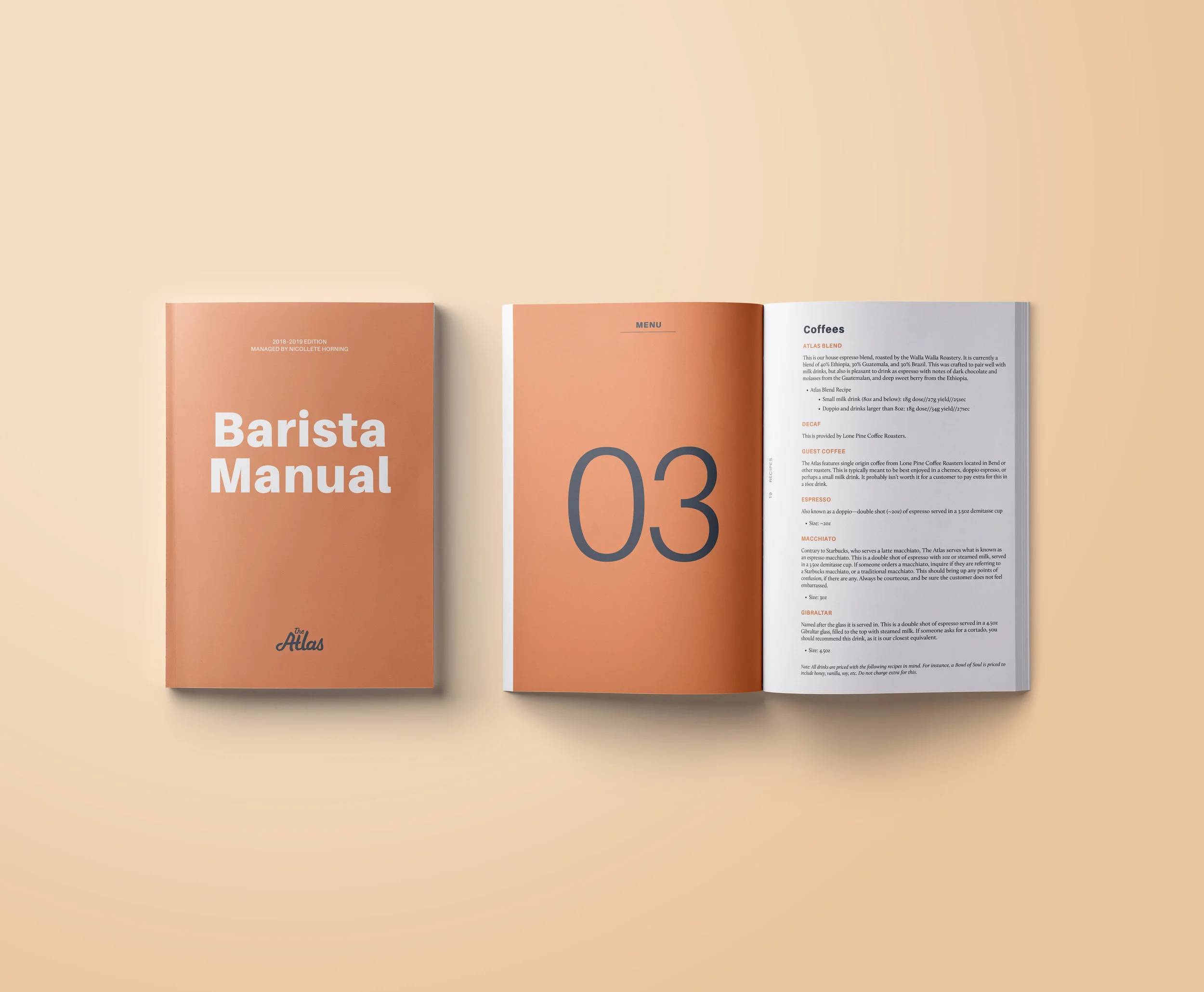 Handbook mockup2.jpg