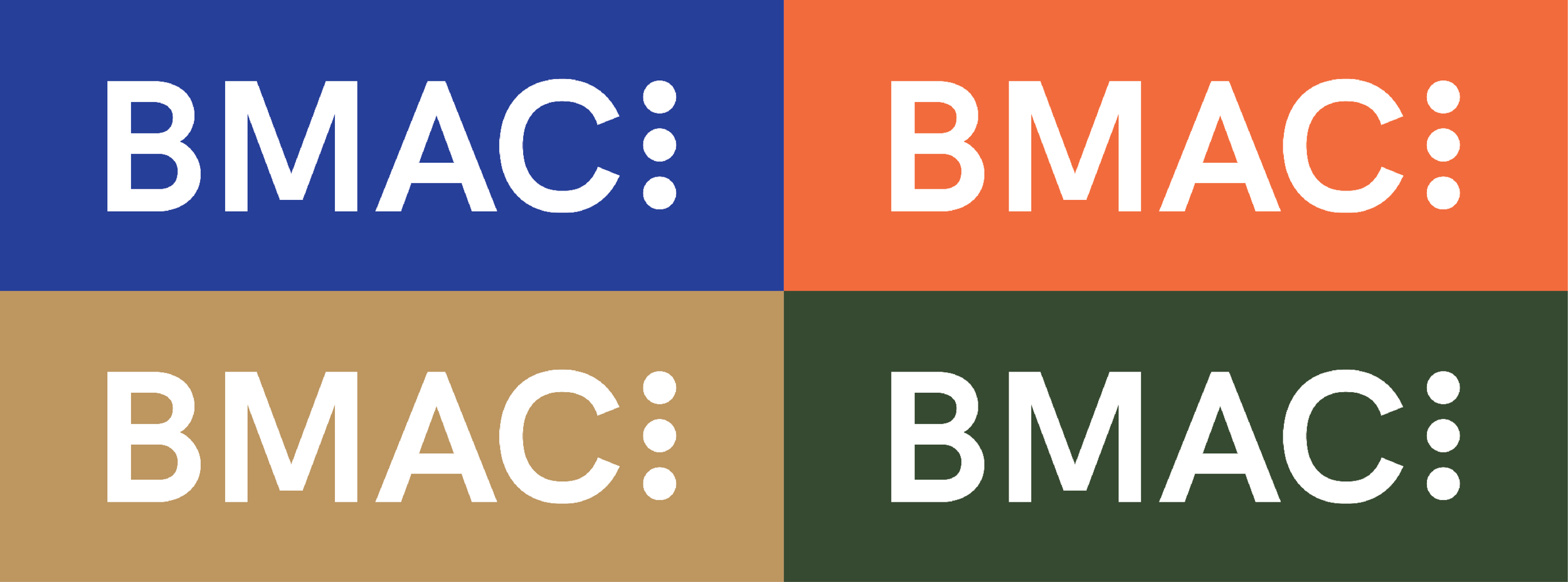 Logo variations.png