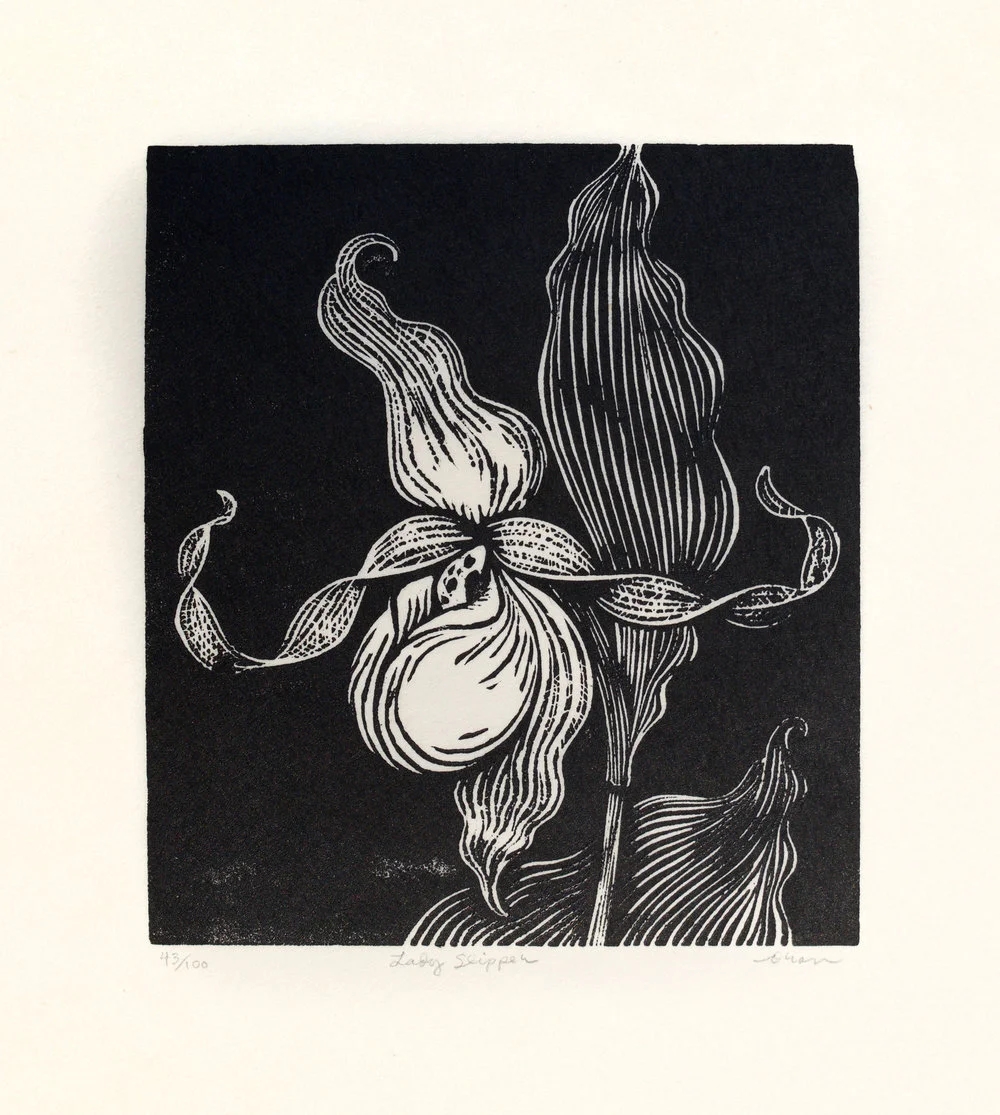 Lady+Slipper.jpg