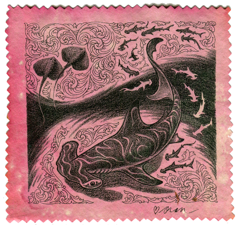 Hammerheads and Skates, 2017