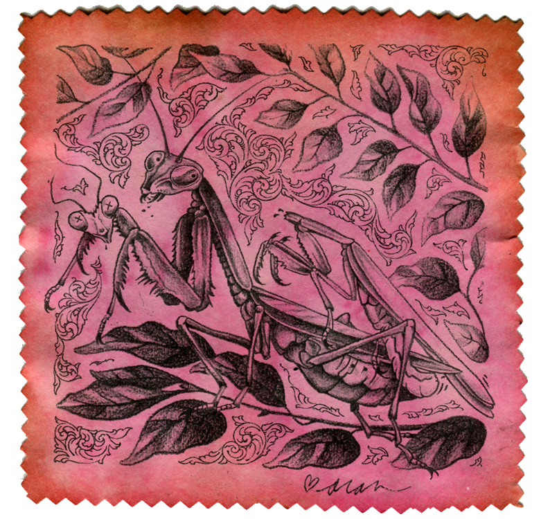 Praying Mantis, 2018