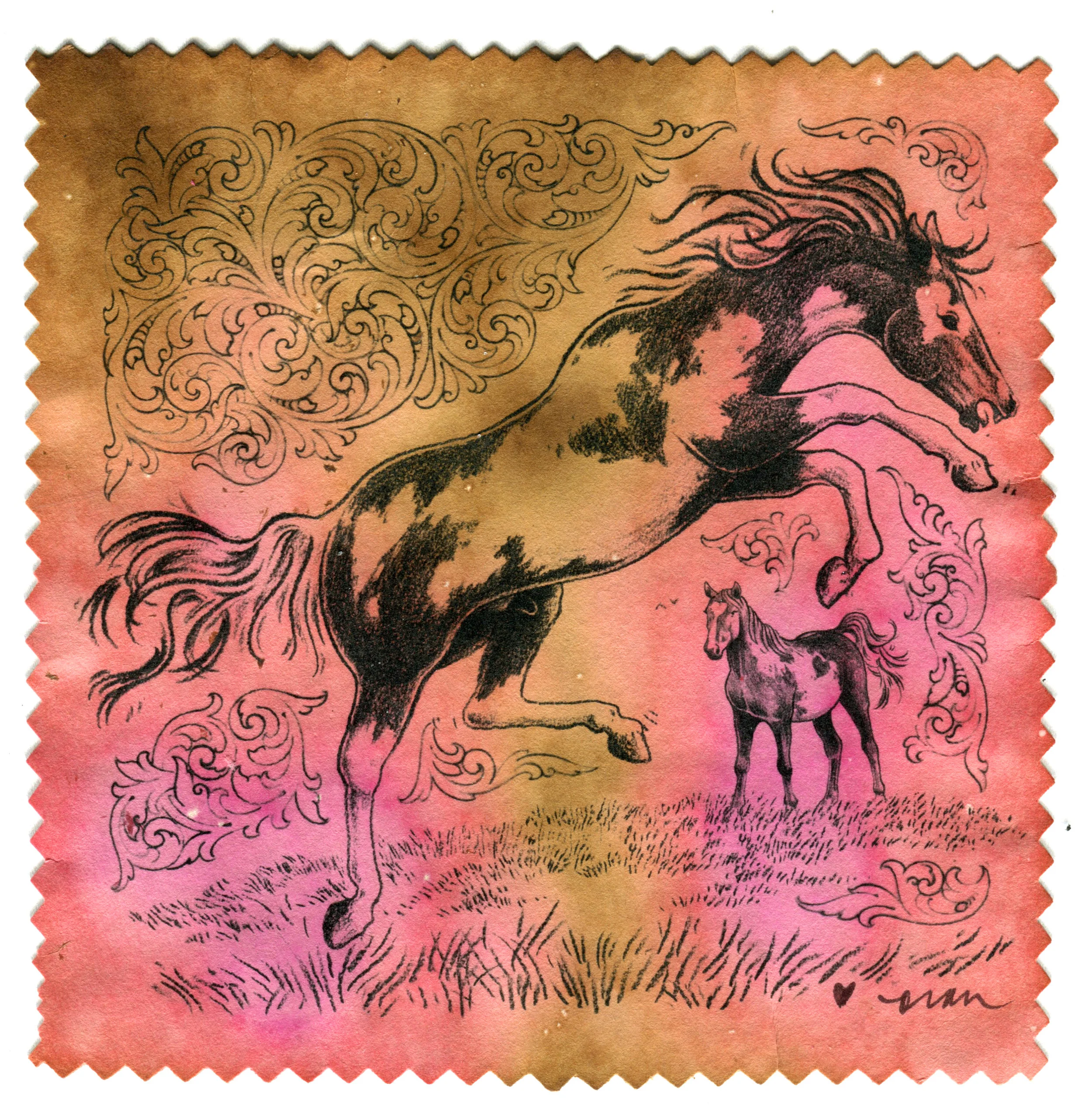 Wild Mustangs, 2019