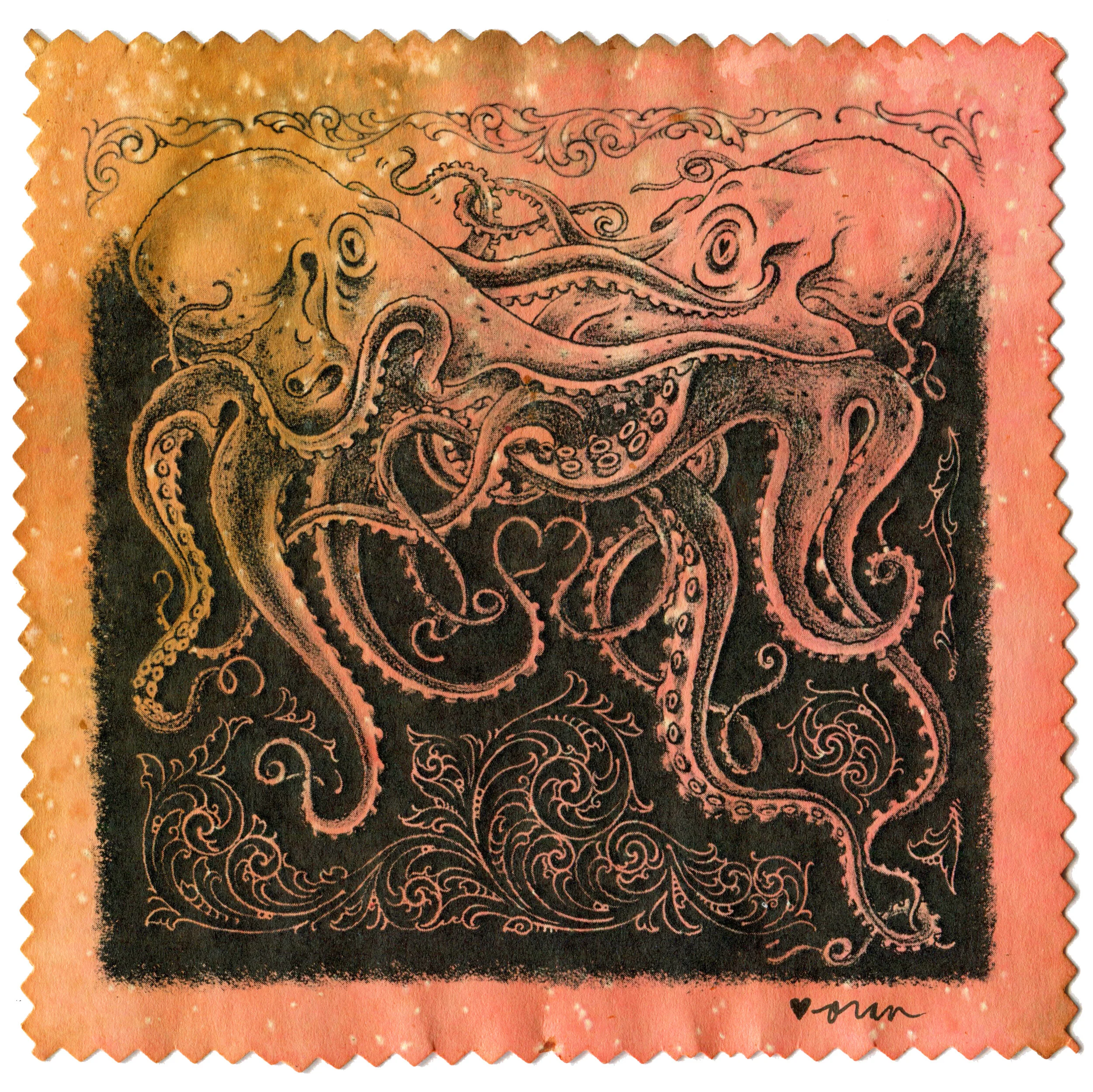 Octopii, 2020