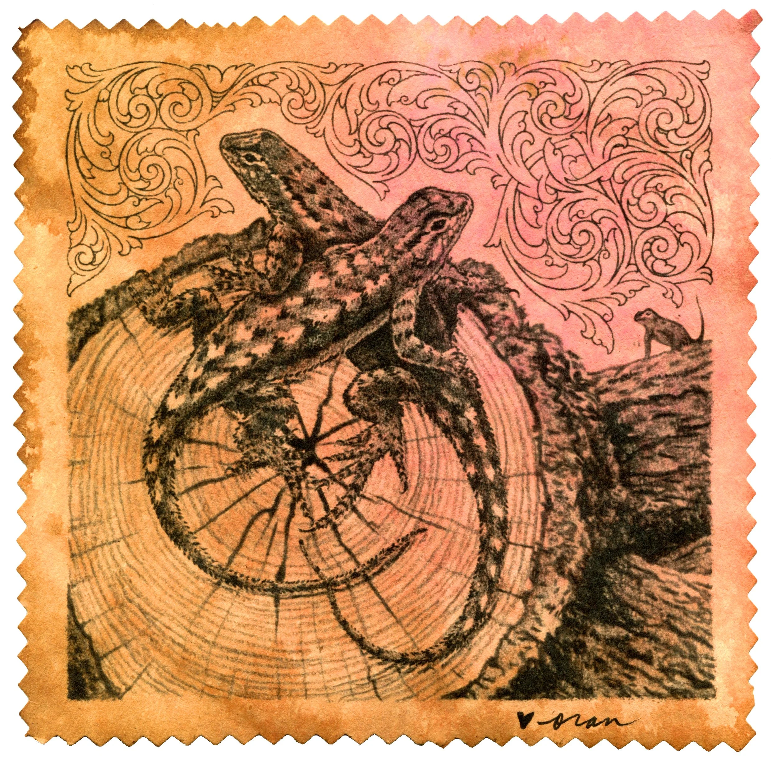 Western Blue Belly Fence Lizards, 2022