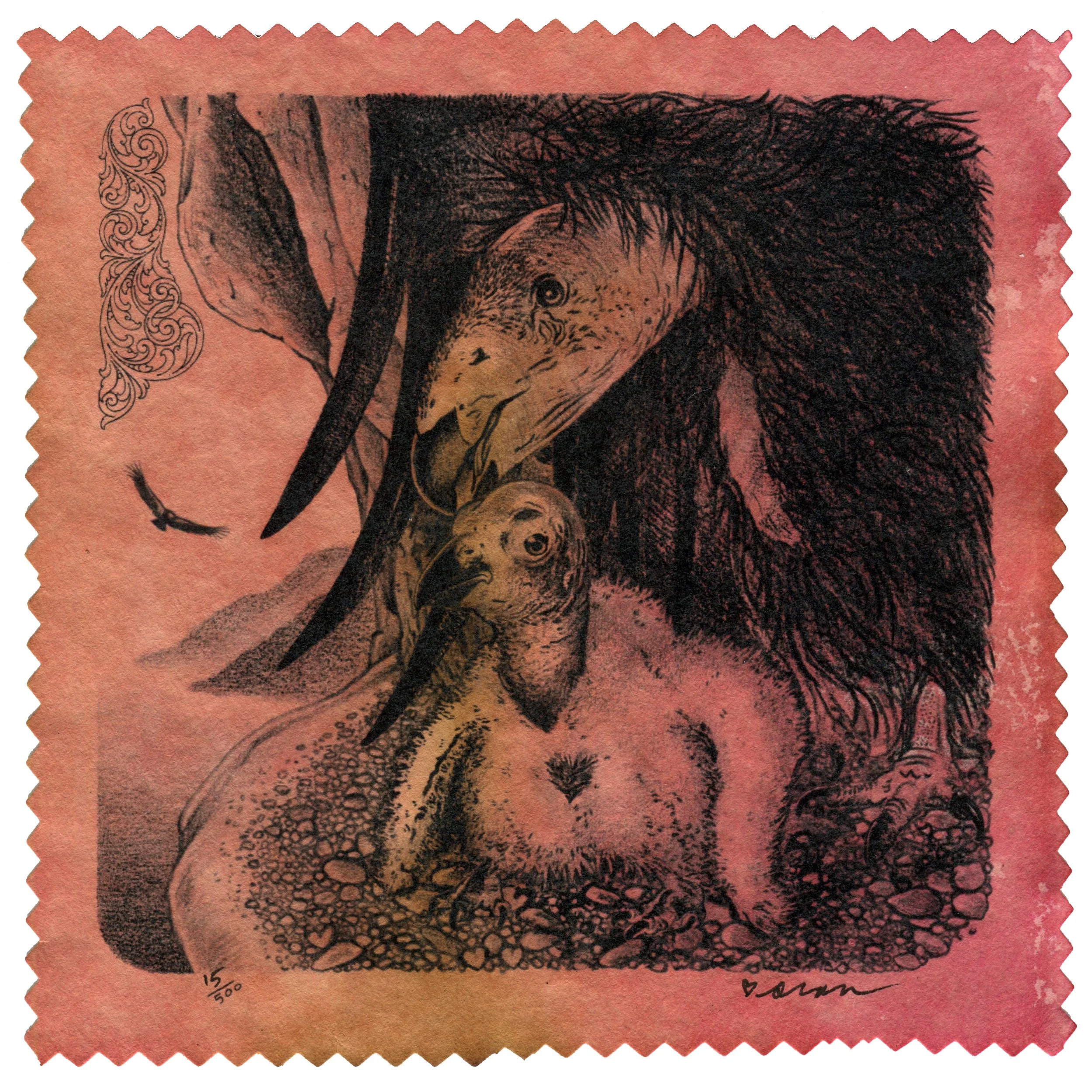 California Condors, 2025