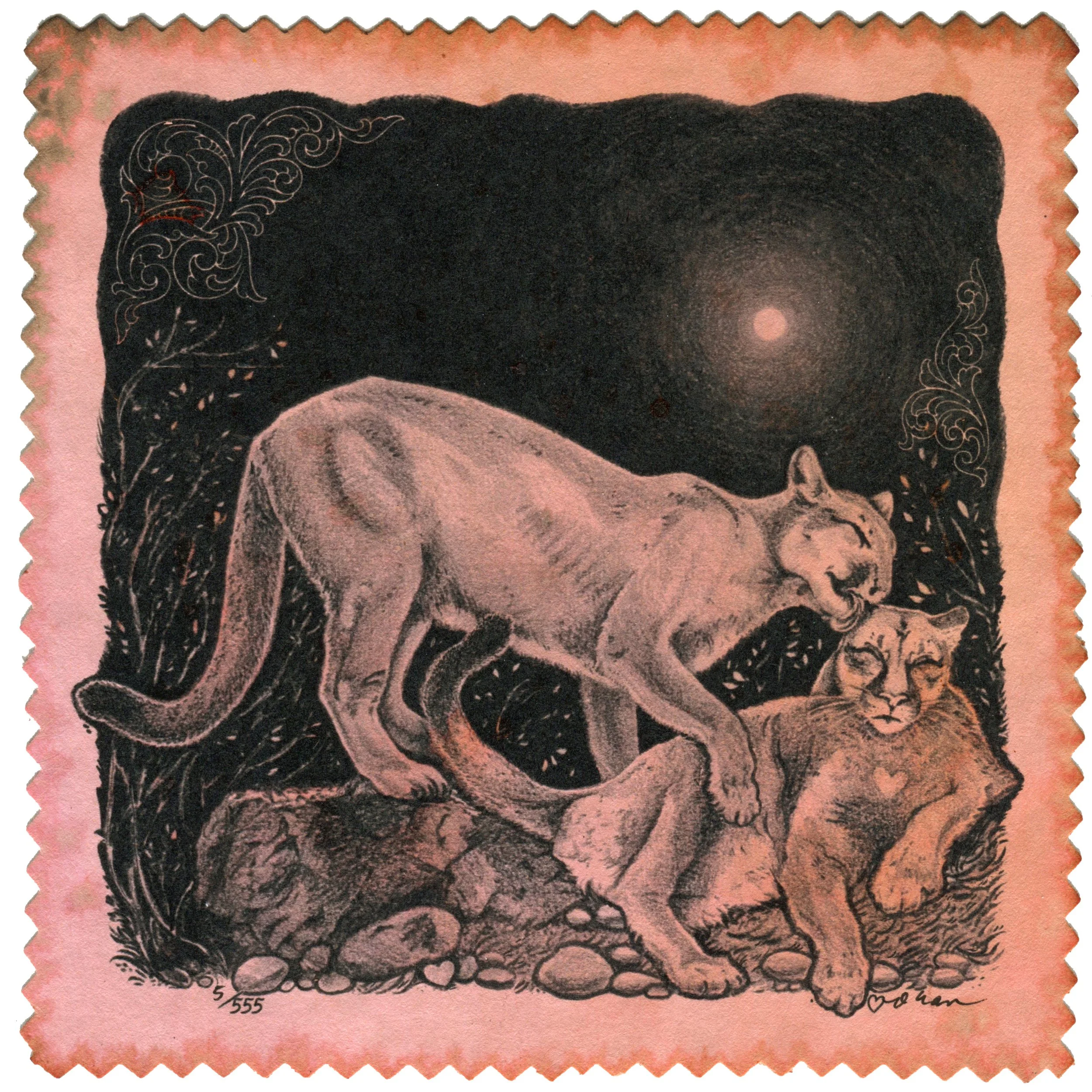 Mountain Lions, 2026