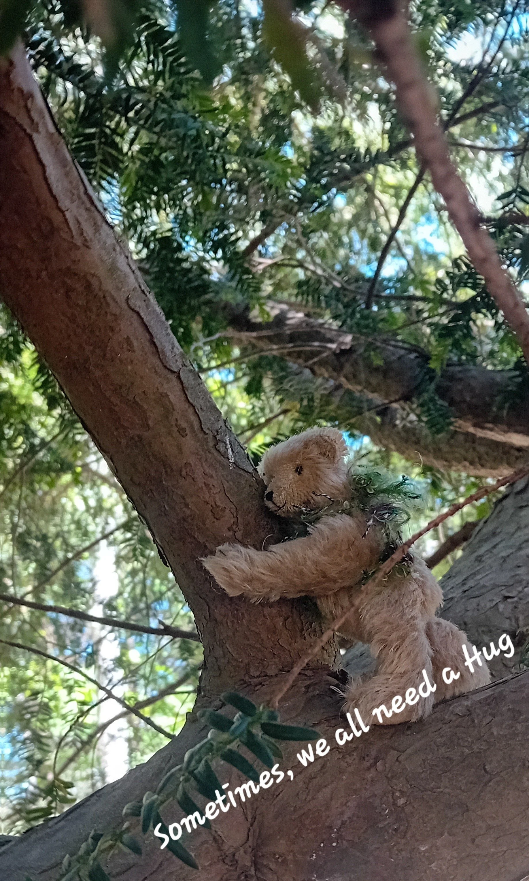 Country Lane Bears GB