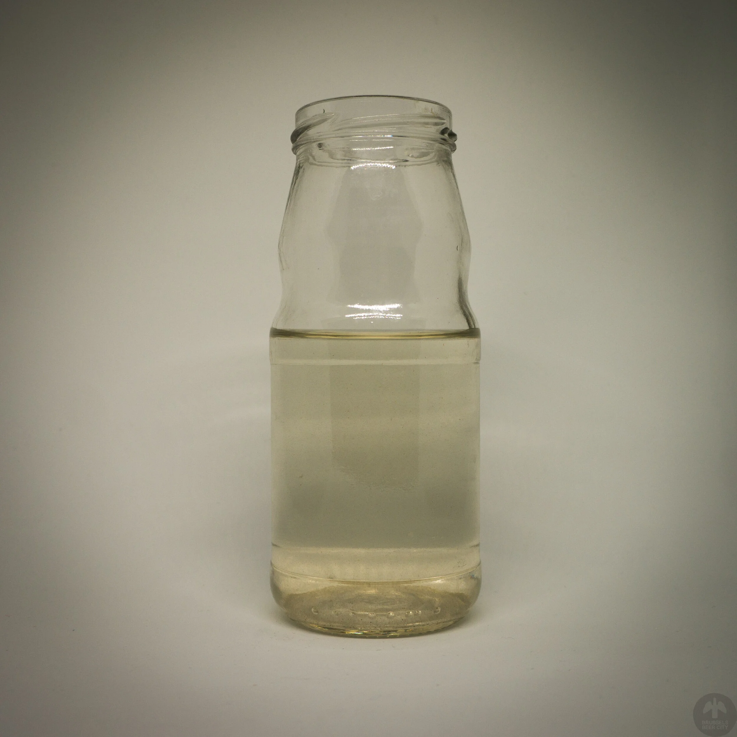 A History of Brussels Beer in 50 Objects // #2 Zenne River Water