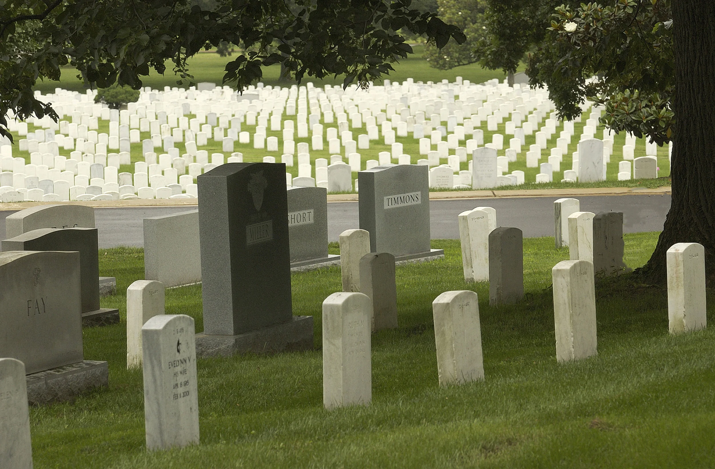 GBP. Arlington. Field 3.jpg