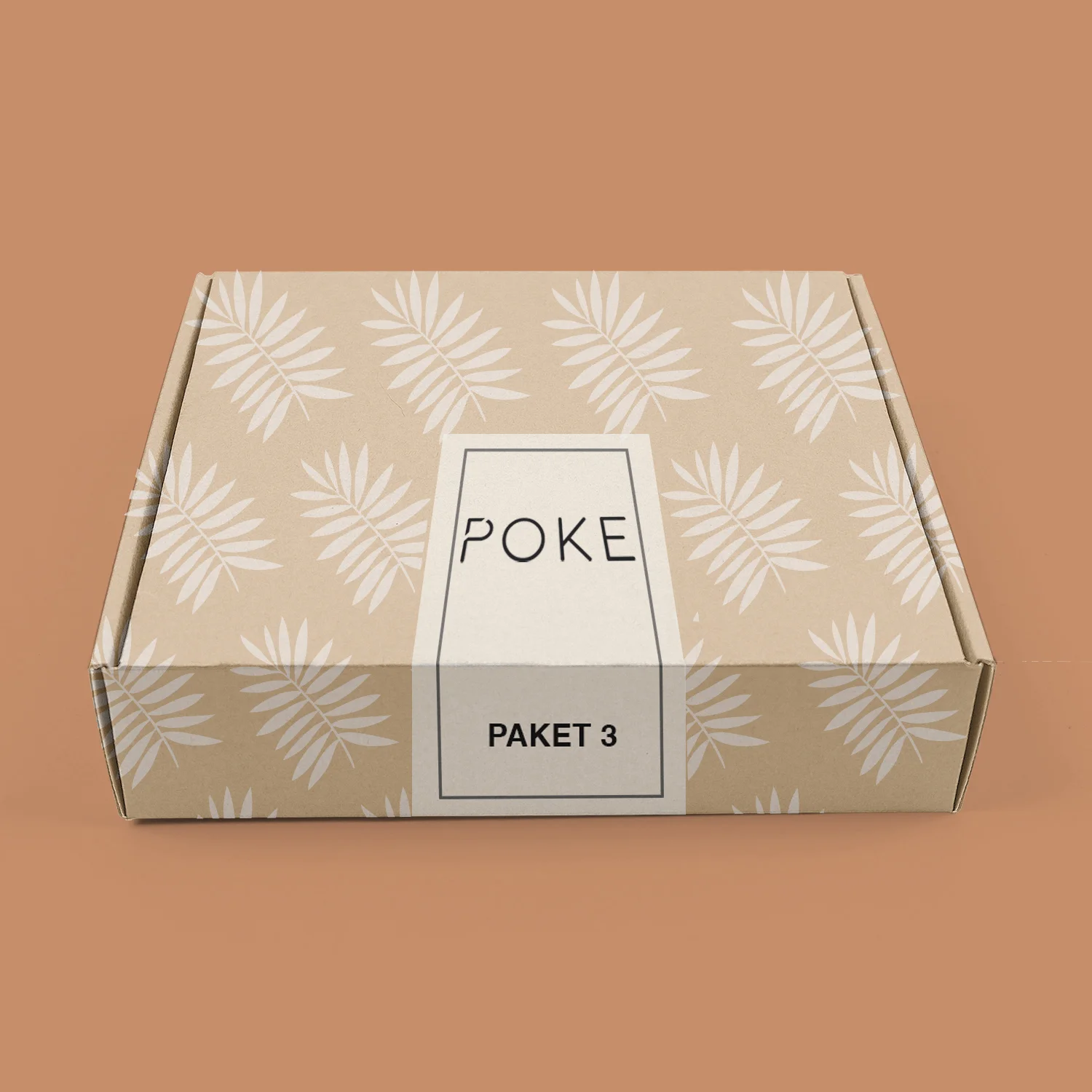 PAKETI-3 copy.jpg