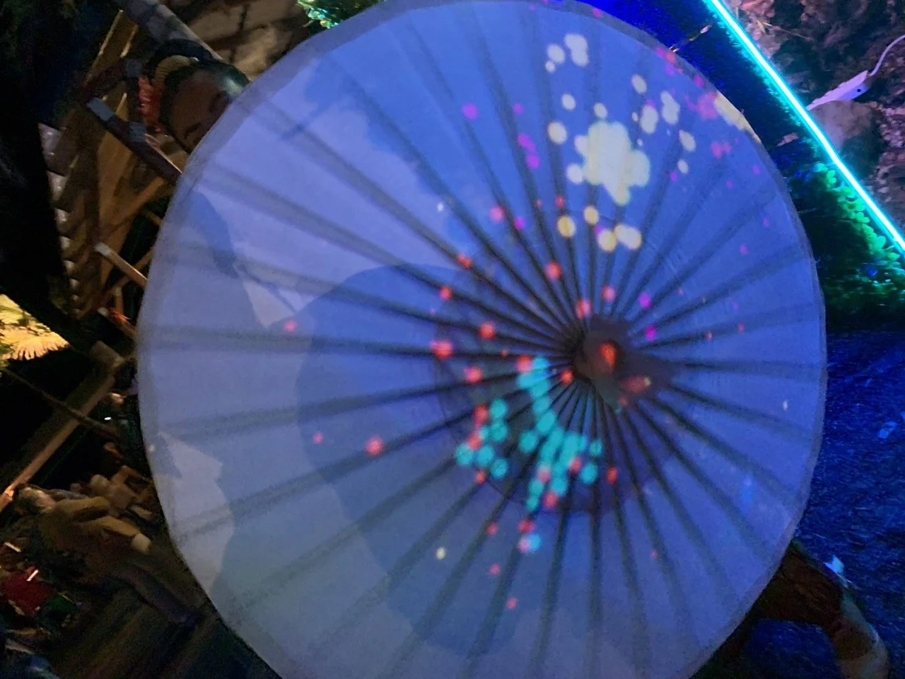 IMG_3971 2 Large.jpeg