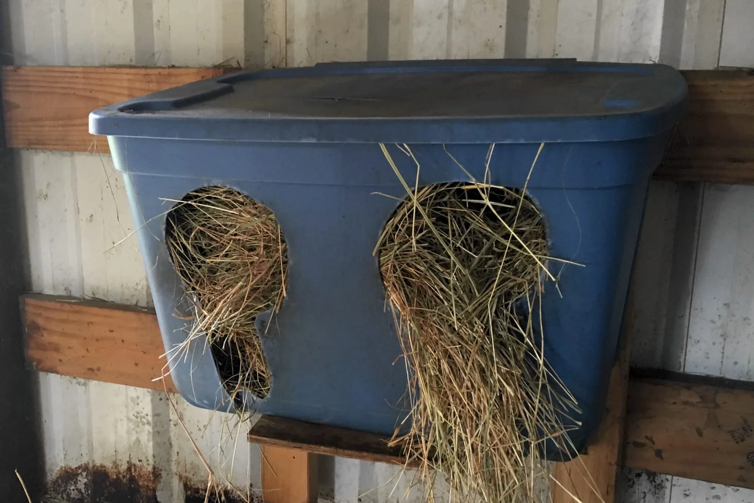 Goat Stall Layout Ellis Creek Farm