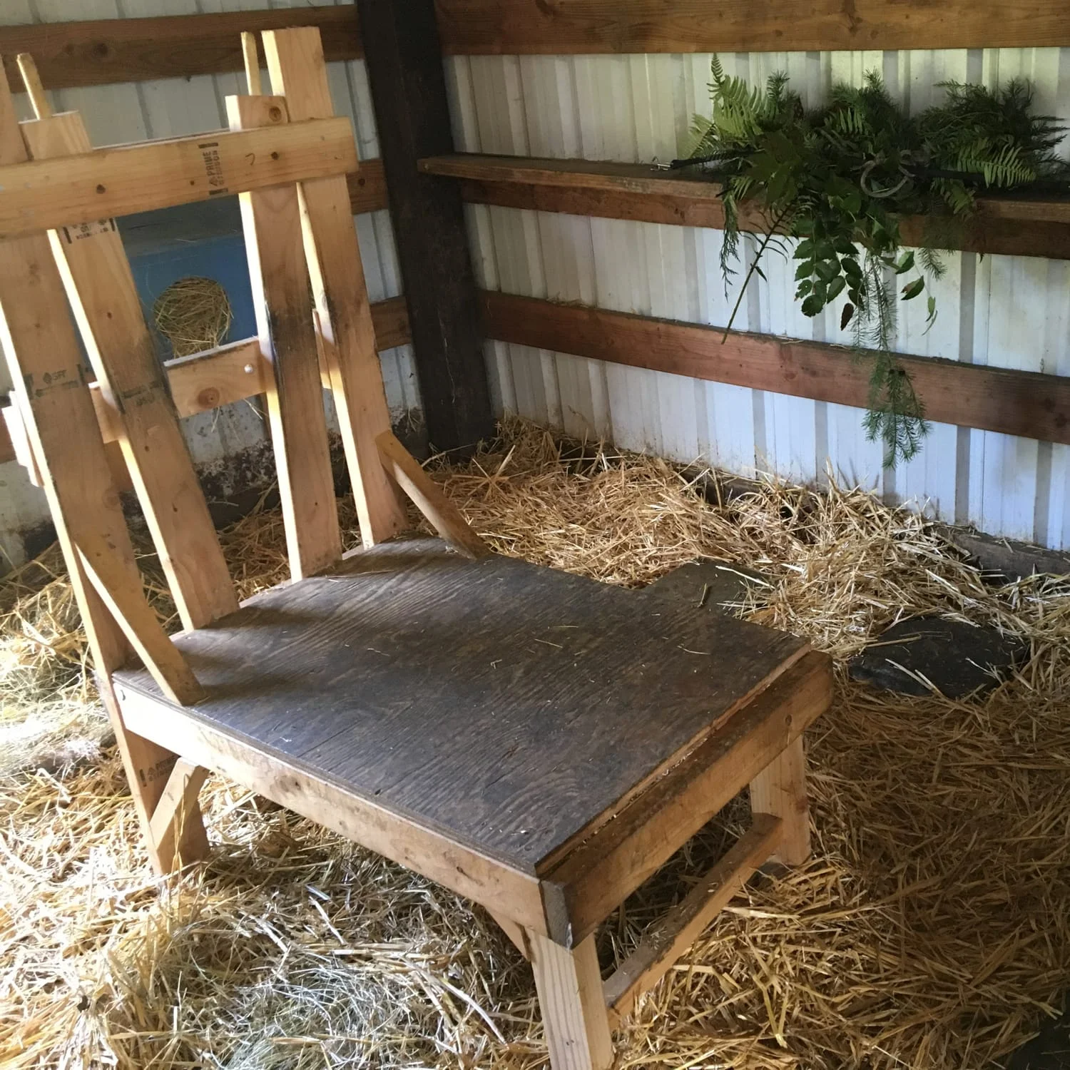 Goat Stall Layout Ellis Creek Farm