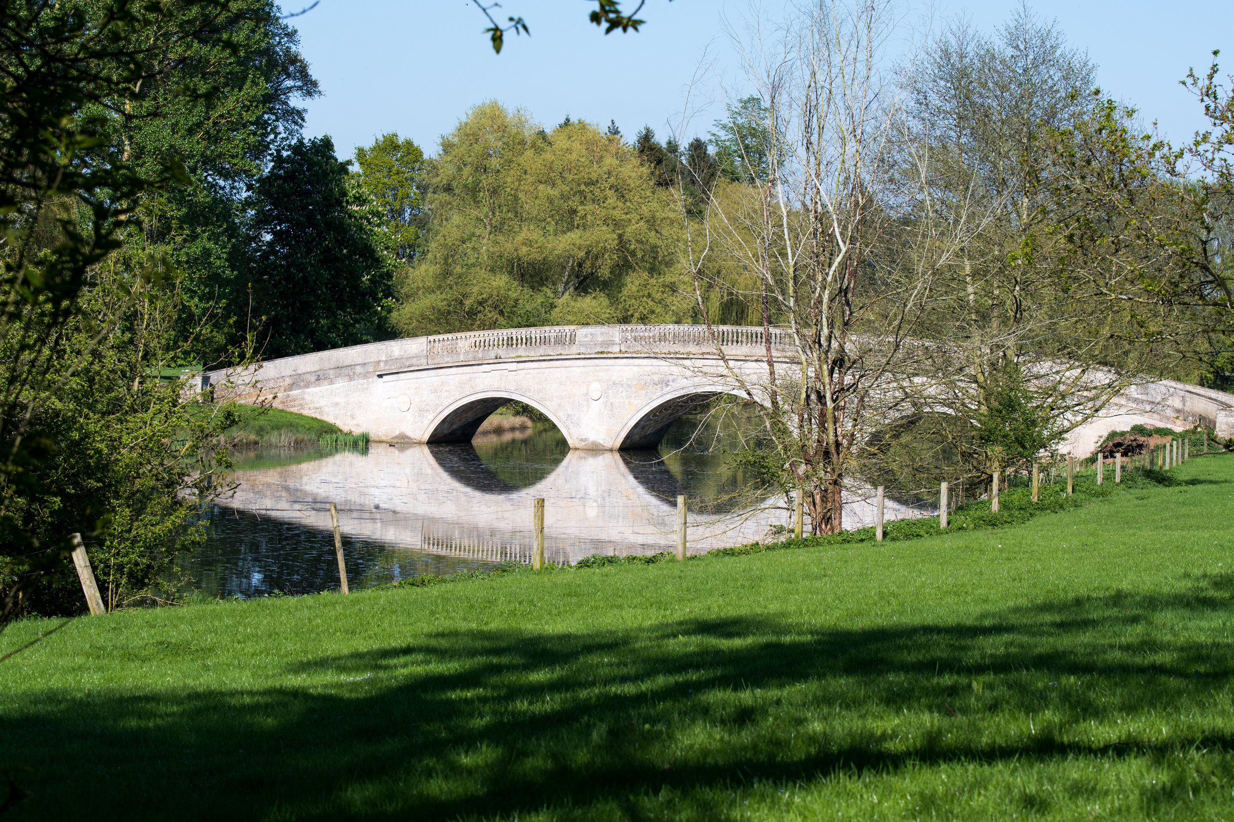DSC_4712.JPG