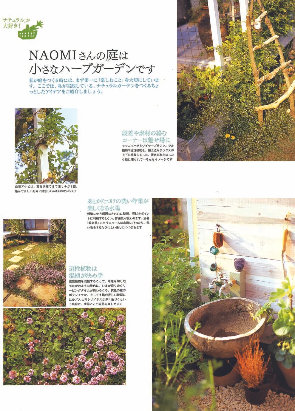 ハーブに夢中02.jpg