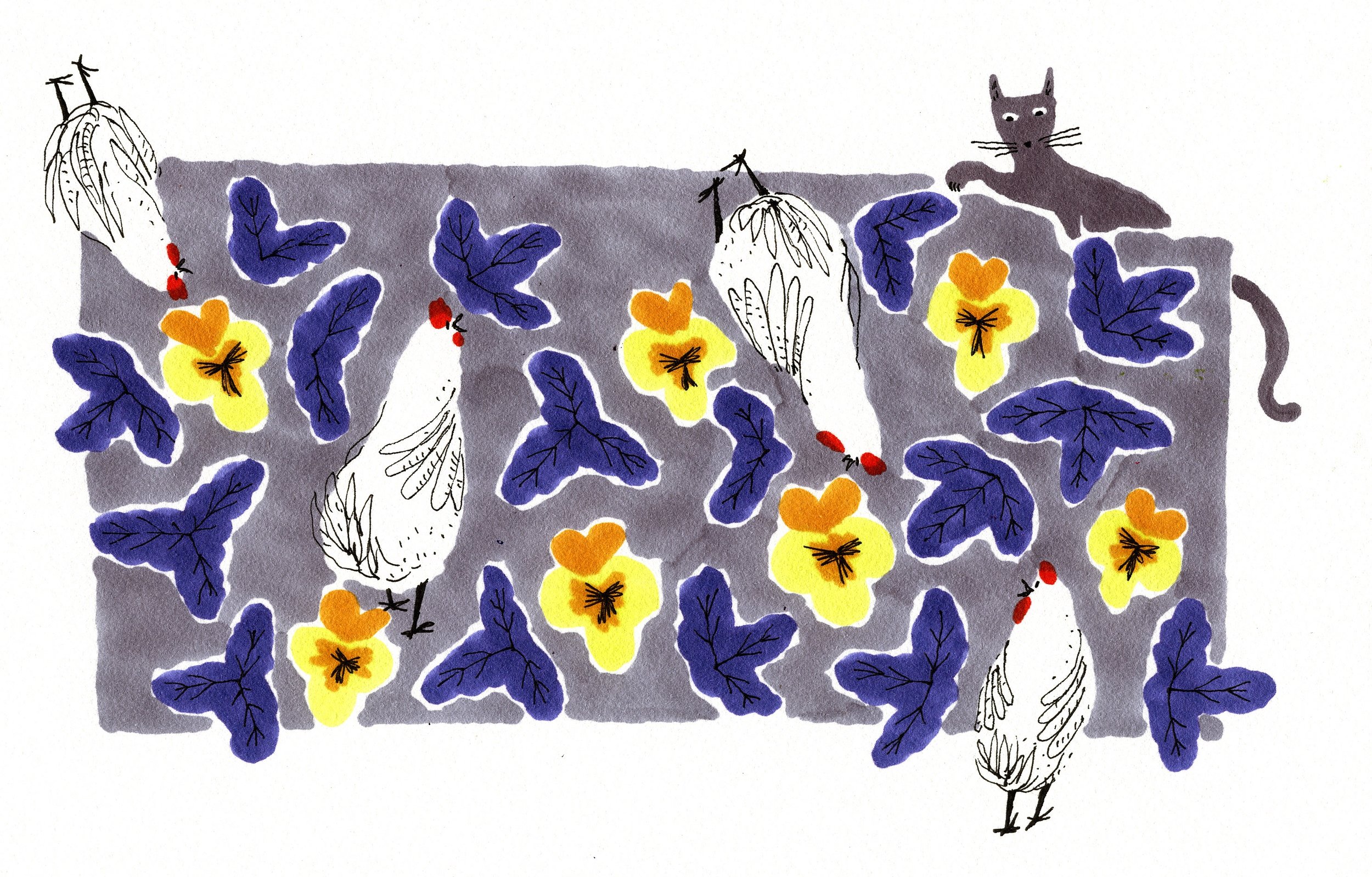 Cat Among Chickens