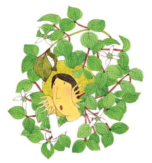 5月　落ちない葉の正体