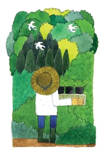 ５月　照葉樹の芽吹く頃