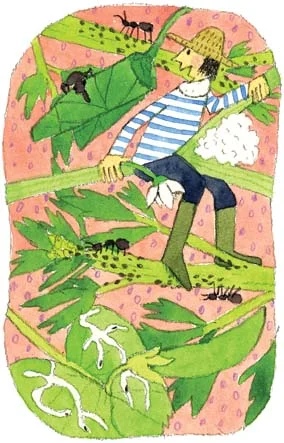 5月　庭の居住者たち