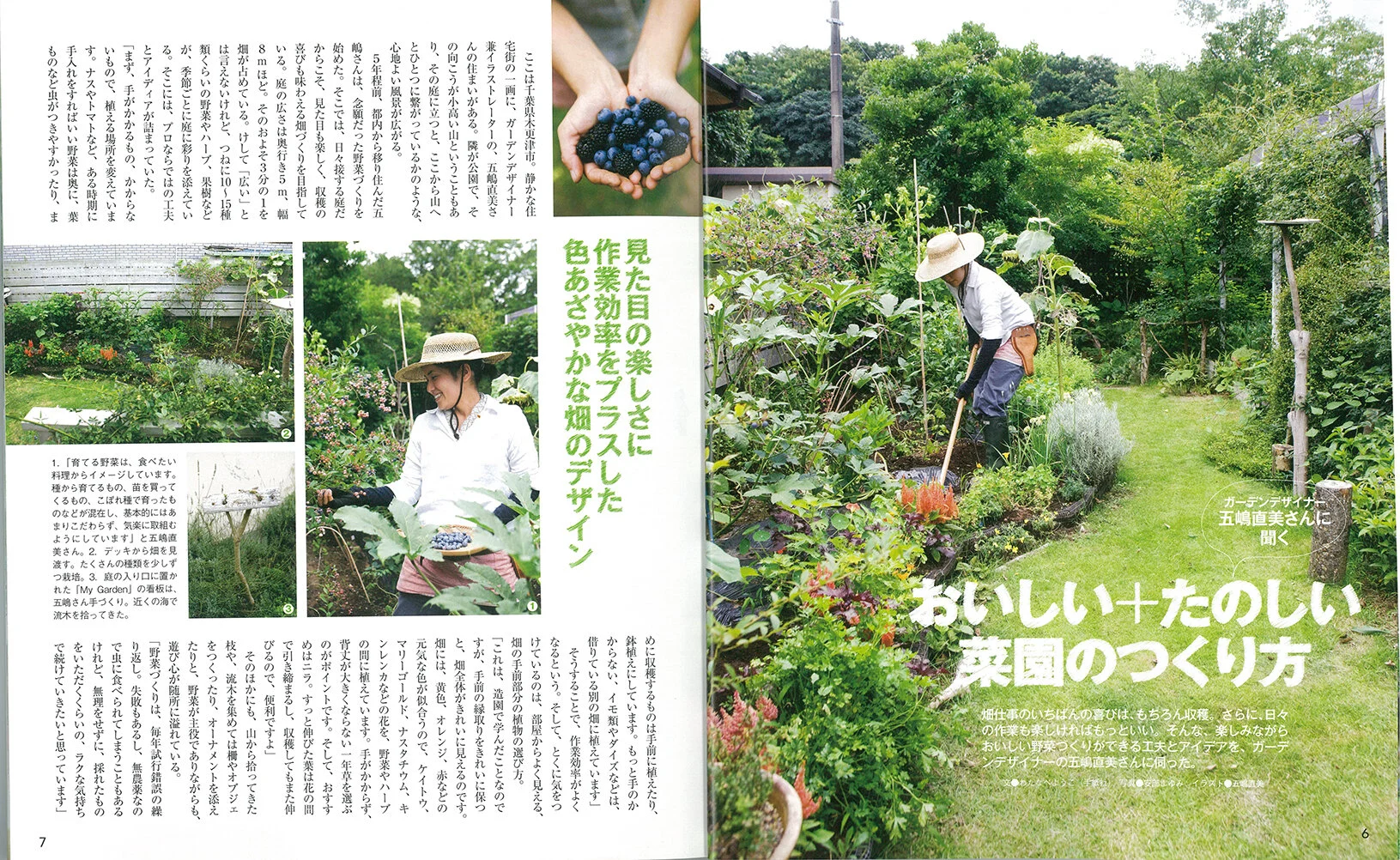 おいしい畑の菜園