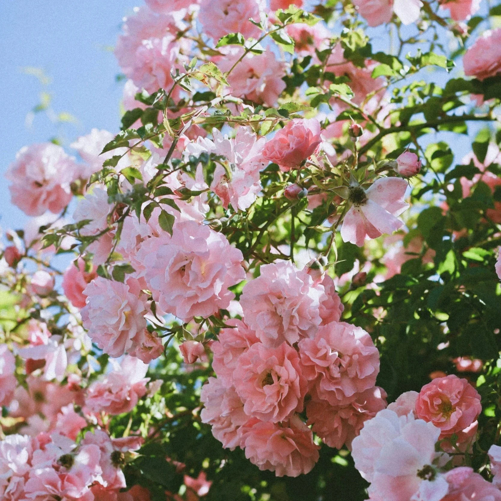unsplash-image-cBe7BxnmmIw.jpg