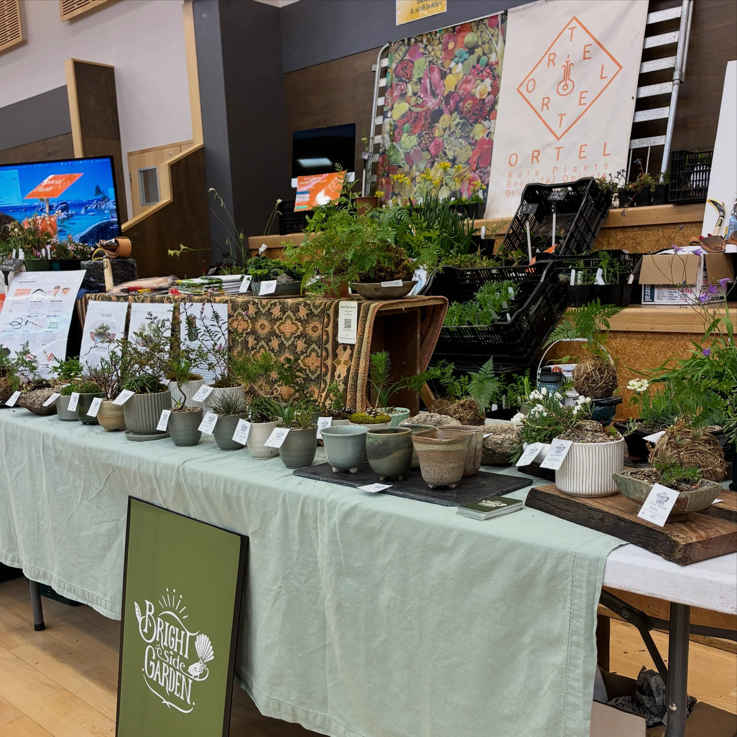 I&rsquo;m at the Botanical Expo this weekend with Bright Side Garden!

It was a great first day, and many of my Kusa Bonsai and Kokedama have already found new homes &mdash; but I still have some available tomorrow 🌱

Tomorrow at 2pm, I&rsquo;ll be 