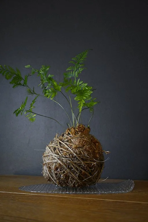 kokedama-1s.jpg
