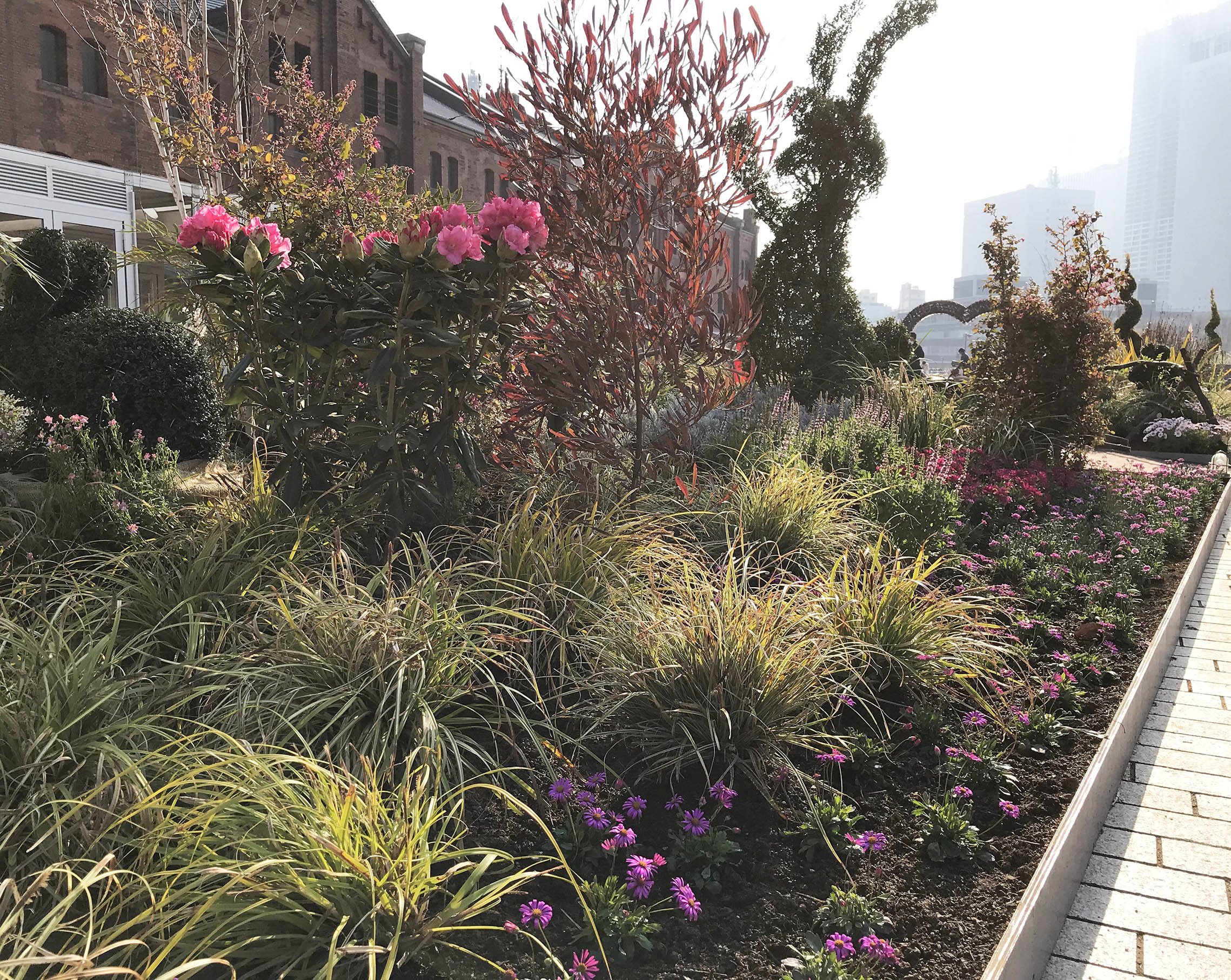 Flowergarden2019-2.jpg