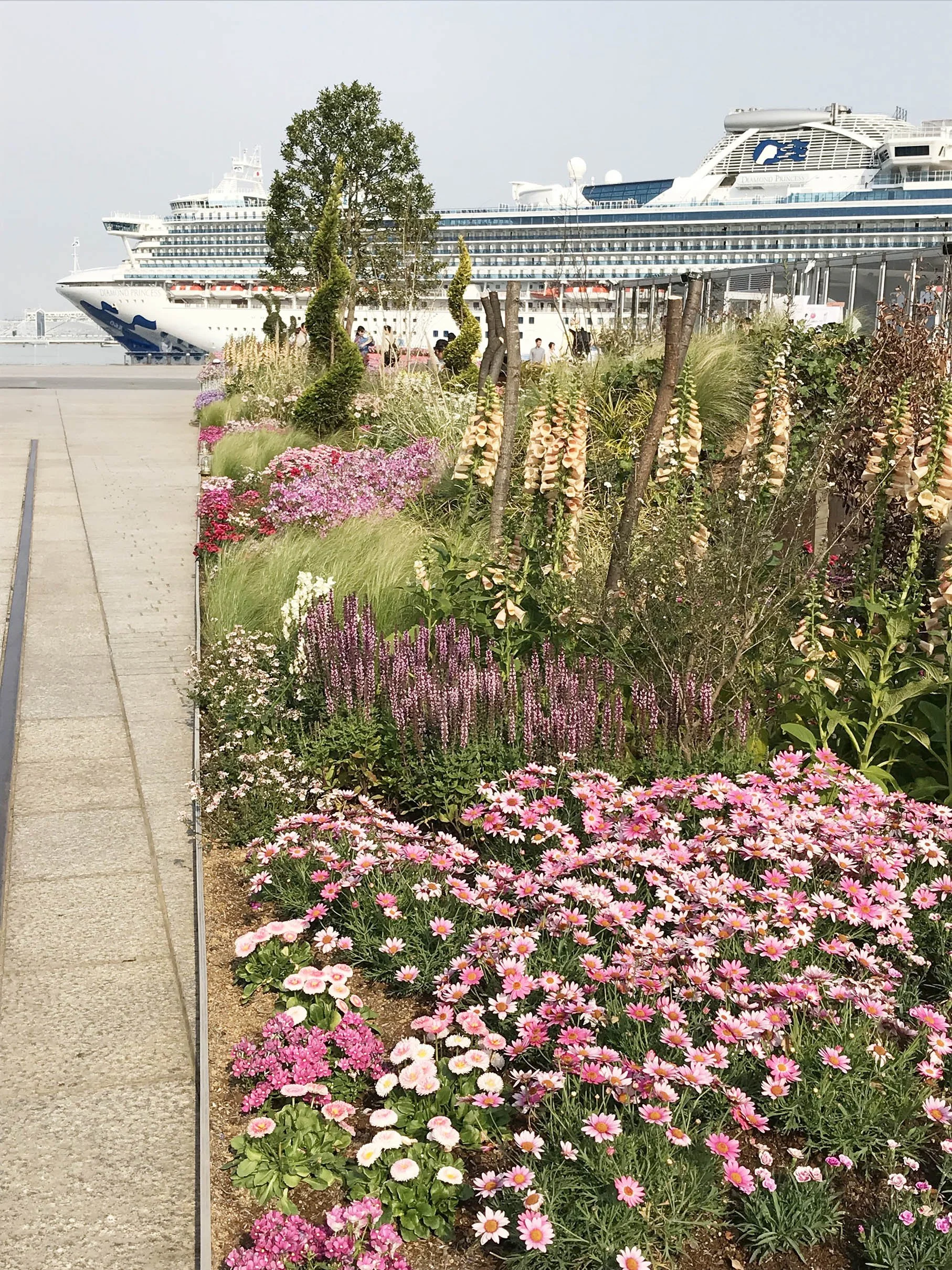 Flowergarden2019-3.jpg