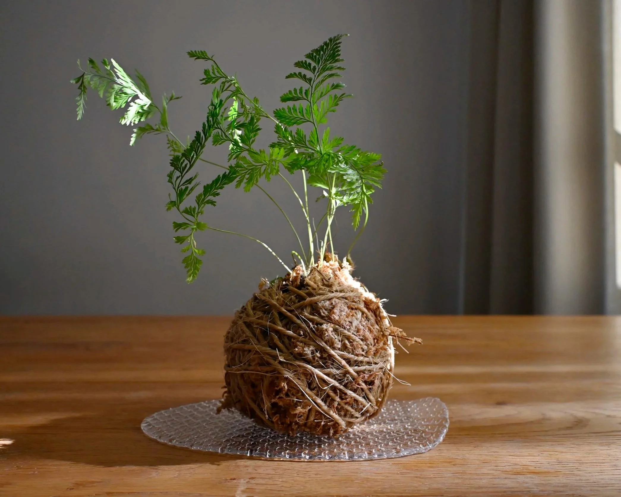 works-kusa-bonsai_23.jpg