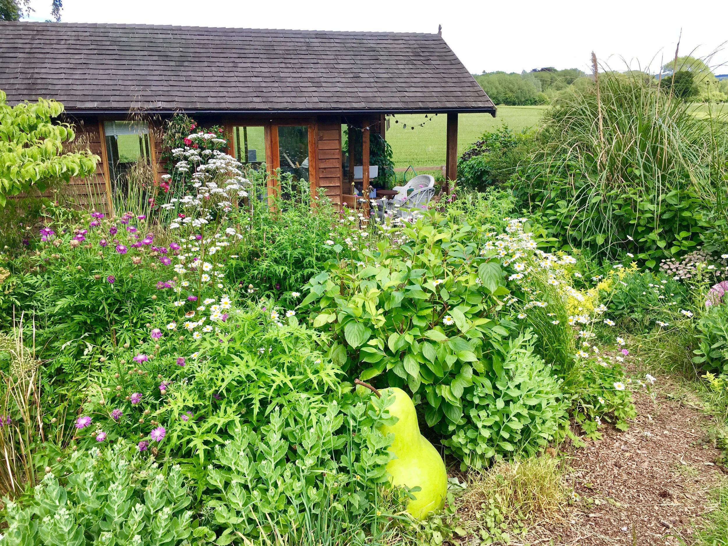 Outside garden studio with giant concrete pear!