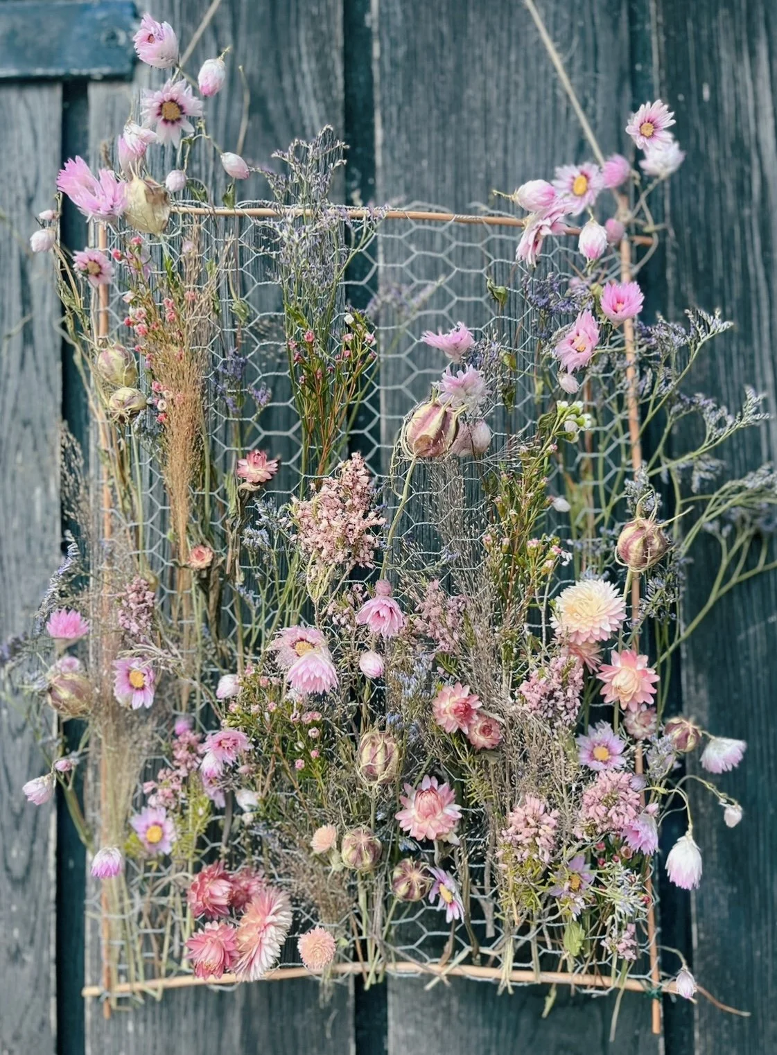 ISIMG-1099273.JPG (Copy)