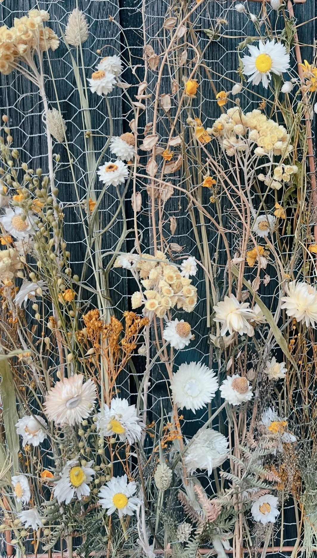 ISIMG-1099357.JPG (Copy)