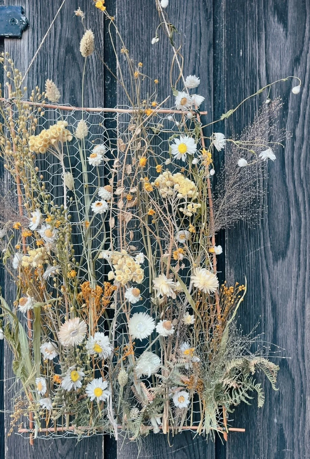 ISIMG-1099417.JPG (Copy)